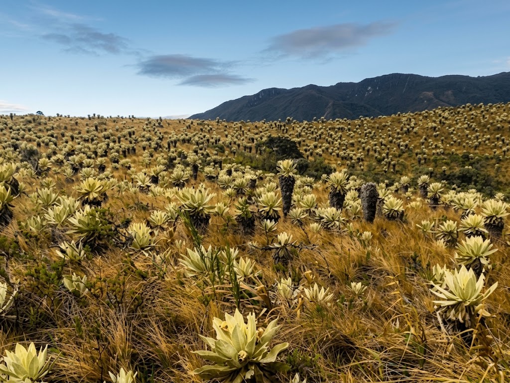 Alto Putumayo turismo y aventura
